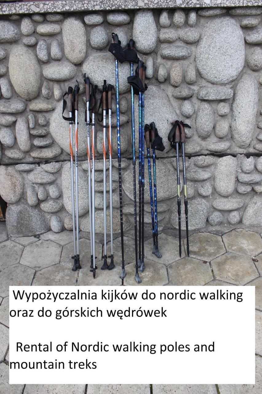 Willa Pod Zielonym Wierchem Zakopane Eksteriør billede